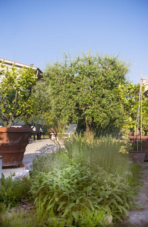 Hotel Dolce Sosta Lukka Zewnętrze zdjęcie